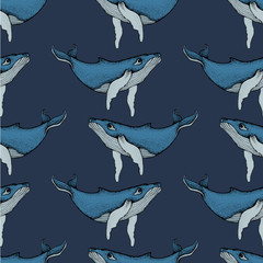 Seamless pattern with Hand drawn humpback whales. Vector with animal underwater. Illustration for wallpaper, web page background, surface textures, textile