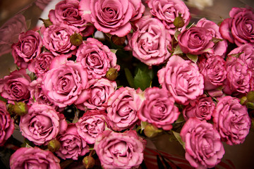 Bouquet of pink roses close-up.