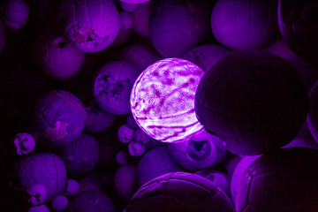 Lighted Purple Balloons_with shadow