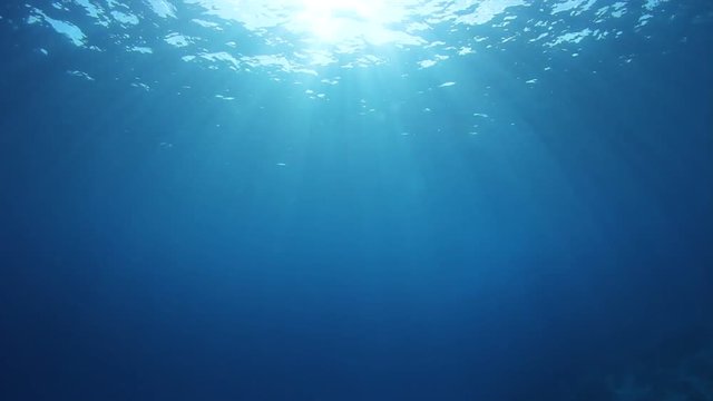 Underwater blue background video in sea with sun in ocean	