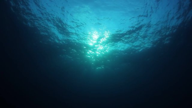 Underwater blue background video in sea with sun in ocean	