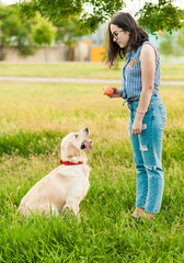 Pretty brunette woman playing with a dog white golden retriever on the grass in park. Training the dog, woman with her dog on green meadow