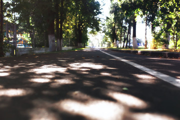 autumn landscape / yellow trees in autumn park, bright orange forest