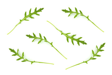 Green fresh rucola or arugula leaf isolated.