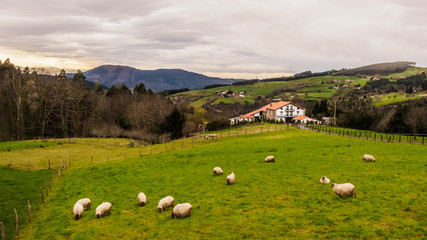 Farm house of the Basque Country with a flock of sheep on a cloudy day