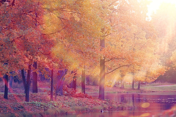 landscape autumn rays of the sun / beautiful landscape nature of Indian summer, yellow forest and sun