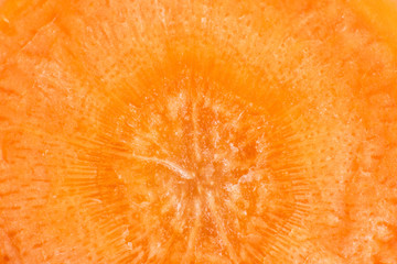 Fresh carrot in a cut close-up. Bright orange photography is suitable as a background for the themes of vegetarianism, healthy eating, veganism.