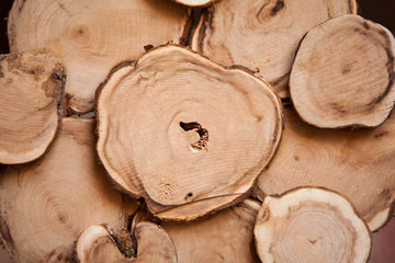 Texture of saw cut wooden background. Background wooden panels.