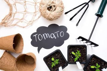 Growing vegetables. Spring season. Garden tools and pots for plants. Tomato sprout in a plastic pot..