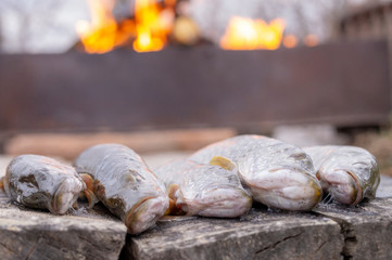 fresh fish pike close-up, in the background lit grill