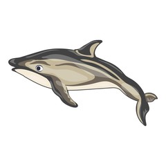 Dolphin icon. Cartoon of dolphin vector icon for web design isolated on white background