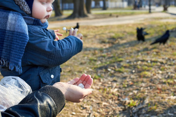 A child takes pumpkin seeds from her mother's hand to feed the birds in the park in early spring