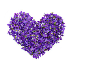 Heart shape flowers. Violets love symbol isolated on white background. Template for greeting card, web design