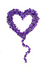Heart shape balloon flowers. Violets love symbol isolated on white background. Template for greeting card, web design