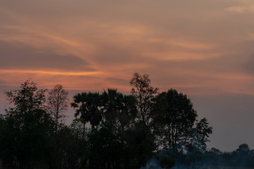 Evening countryside atmosphere