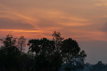 Evening countryside atmosphere