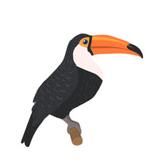 Hand drawn toucan isolated on white background.