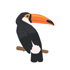 Hand drawn toucan isolated on white background.