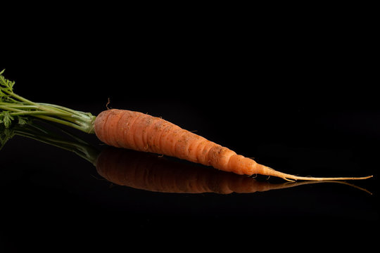 One whole fresh orange carrot with greens isolated on black glass