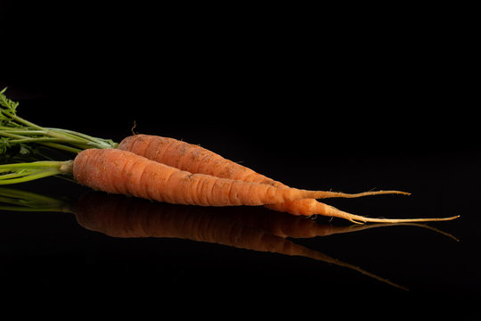 Group of two whole fresh orange carrot with greens isolated on black glass