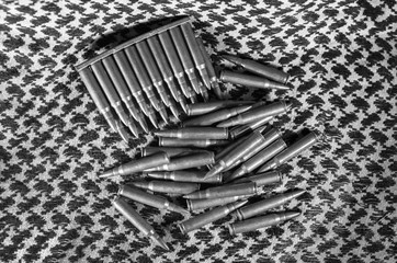  5.56 mm long ball bearings for black and white shots