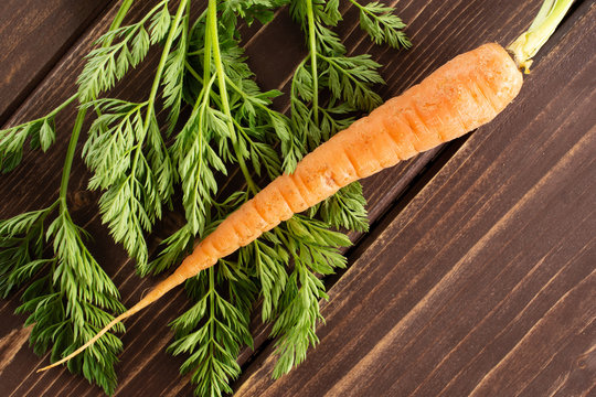 One whole fresh orange carrot with greens flatlay on brown wood