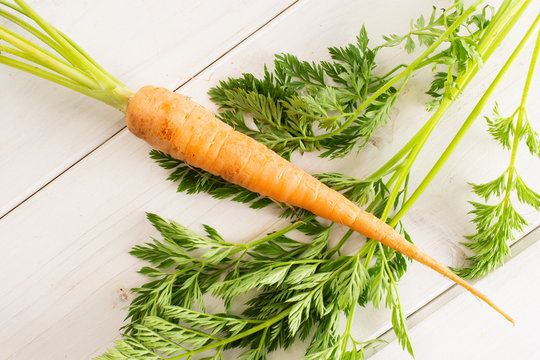 One whole fresh orange carrot with greens flatlay on white wood