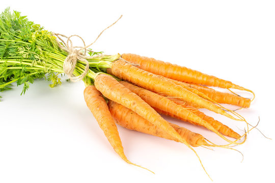 Lot of whole domestic fresh orange carrot with greens tied by jute isolated on white background