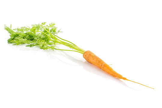 One whole raw fresh orange carrot with greens isolated on white background