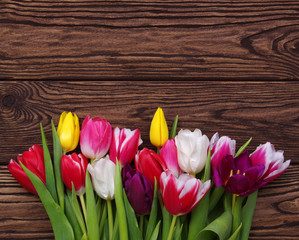 tulips on wood background