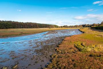 Tidal Creek Through a Meadow on a Clear Autumn Day