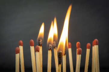A group of matches, some of which are burning