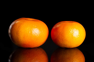 Group of two whole fresh orange mandarine isolated on black glass