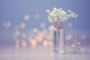 Small bouquet of gypsophila in vase on the blue background