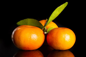 Group of three whole shiny fresh orange mandarine with green leaves isolated on black glass