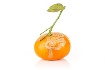 One whole ill fresh orange mandarine with green leaves isolated on white background