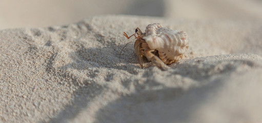 Malediven im lhaviyani Atoll
