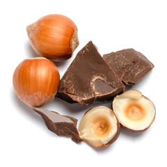 Dark or milk organic chocolate pieces ant hazelnuts isolated on white background