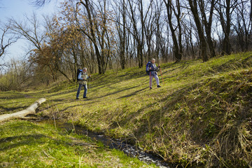 Obraz premium Getting higher and stronger. Aged family couple of man and woman in tourist outfit walking at green lawn in sunny day near by creek. Concept of tourism, healthy lifestyle, relaxation and togetherness.