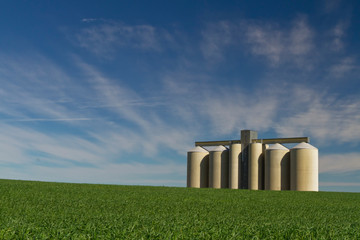 Grain silo in green field