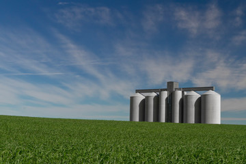 Grain silo in green field © cameron1983