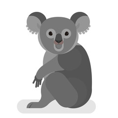 Koala with grey fur © inspiring.team