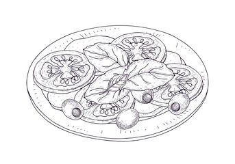 Caprese salad on plate hand drawn with contour lines on white background. Wholesome tasty Italian restaurant meal made of fresh tomatoes, mozzarella, basil, olives. Realistic vector illustration.