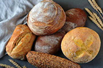 Bread assorted on a gray background. Italian white ciabatta bread, rye bread, corn bread, wheat and cereal. In the frame of the ears of wheat. View from above.