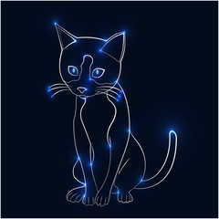 Cat on a dark background with a beautiful dotted glow
