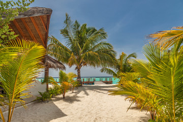 Fototapeta premium Malediven im lhaviyani Atoll