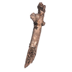 Single dry tree branch, isolated on white background. Stick tree branch from nature for design.
