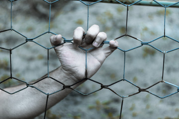 Hand squeezes the cage. A pale hand is holding onto a metal grid. Concept of limited freedom