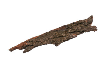 Piece of old tree bark, isolated on white background in studio