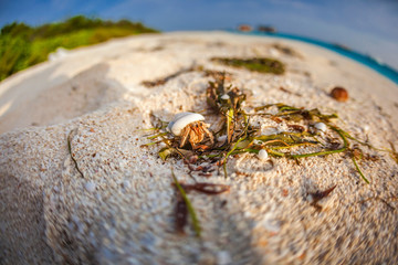 Malediven im lhaviyani Atoll